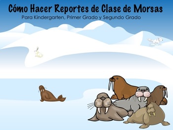 Preview of Cómo Hacer Reportes de Clase de Morsas/ Report Writing Walruses