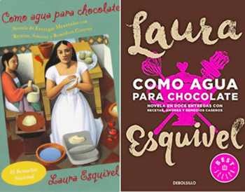 Preview of Como agua para chocolate Novel Unit Guide in SPANISH | Like water for chocolate