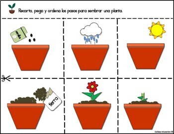 Color de malva telescopio Medición Cómo crecen las plantas by Dalizas Digital | TPT