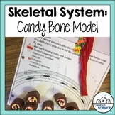 Compact Bone Modeling Activity- Candy Model for Skeletal S