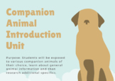 Companion Animal Introduction Unit