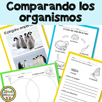 Preview of Comparando los organismos Comparing Living Things in Spanish