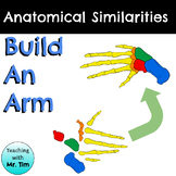 Comparative Anatomy : Build-An-Arm Activity