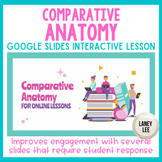 Comparative Anatomy  - Presentation & Guided Notes