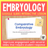 Comparative Embryology  - Presentation & Guided Notes