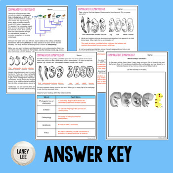 Download Comparative Embryology Guided Practice Pdf Digital Versions By Laney Lee