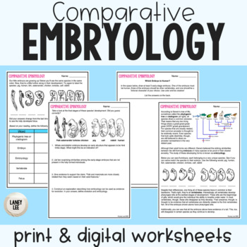 Preview of Comparative Embryology - Reading Comprehension Worksheets