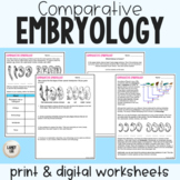 Comparative Embryology - Reading Comprehension Worksheets