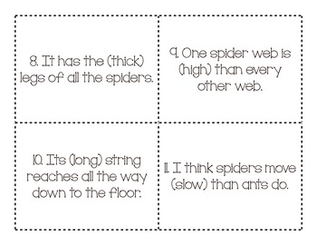 8 Superlative Spiders