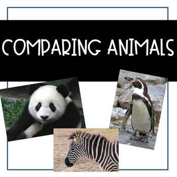 Preview of Compare Animals {ESL} 