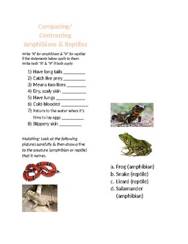 Compare & Contrast Amphibians & Reptiles by Storey Writers | TPT