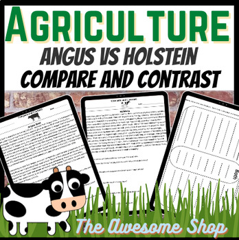 Preview of Compare & Contrast Angus vs Holstein Cows Writing Agriculture, FFA, CTE