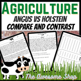 Compare & Contrast Angus vs Holstein Cows Writing Agricult