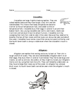 Preview of Compare & Contrast: Crocodiles and Alligators