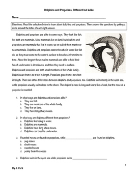 Preview of Compare/Contrast Dolphins & Porpoises - 8 Multiple Choice Reading Comp Questions