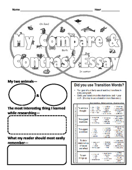 example of a rough draft of compare and contrasting