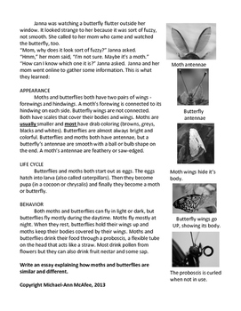 Preview of Compare & Contrast Essay Prompt -3rd/4th- Butterflies & Moths