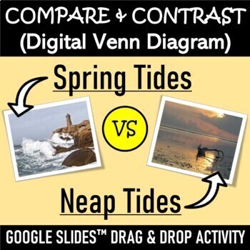 Preview of Compare & Contrast Spring Tides vs. Neap Tides | Google Slides™ Drag and Drop