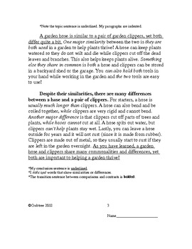 compare and contrast essay examples for elementary students