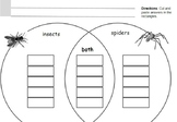 Compare Insects & Spiders Venn Diagram w/ answer key TK K 1st