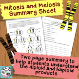 Compare Mitosis and Meiosis: Cut and Paste Activity and Worksheet