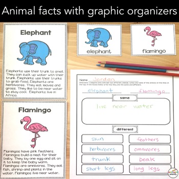 compare and contrast essay topics for 5th grade animals