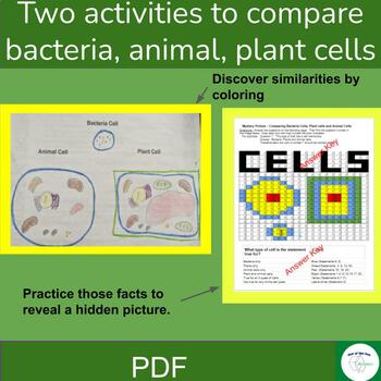 Compare and Contrast Bacteria cells, Animals Cells and Plant Cells -2  activities