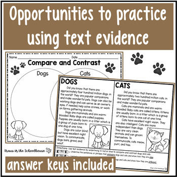 dogs and cats compare and contrast essay