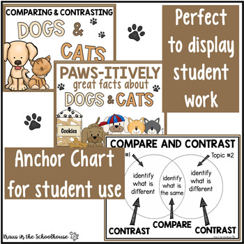 Cat and dog compare contrast essay