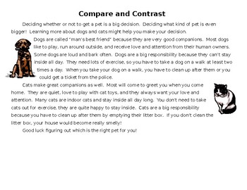 compare and contrast essay dogs vs cats