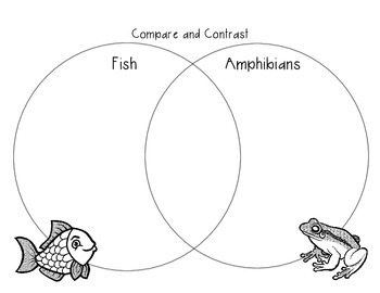 Compare and Contrast Fish and Amphibians Venn Diagram by Hannah Maxey