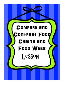 Preview of Compare and Contrast Food Chains and Food Webs Lesson--Everglades Ecosystem