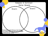 Compare and Contrast Horse Breeds