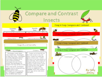 Preview of Compare and Contrast Insects-Digital