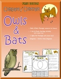 Compare and Contrast: Owls & Bats (FIRST EDITION)