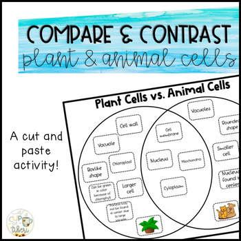 Compare and Contrast Plant & Animal Cells by A Cup of Tiberi | TPT