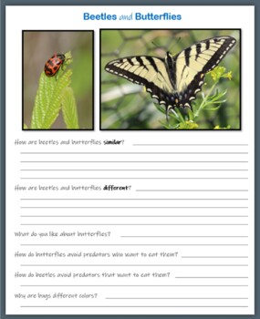 write a compare and contrast essay on plants and animals