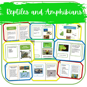 Compare and Contrast Reptiles & Amphibians NGSS Lesson by Mrs Lena