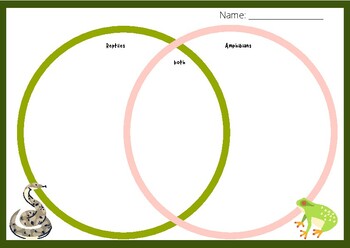 Compare and Contrast: Reptiles, Amphibians and Mammals by Katie Hamons