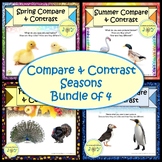 Compare and Contrast Seasons (Bundle of 4)