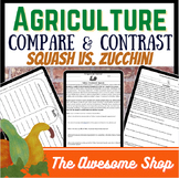 Compare and Contrast Zucchini vs Yellow Crookneck Squash W