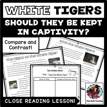 Preview of Compare and Contrast the Author's Point of View White Tigers