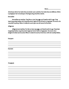 Crocodile Worksheets Teaching Resources Teachers Pay Teachers