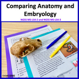 Comparative Anatomy and Embryology & Evidence of Evolution