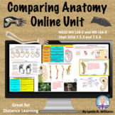 Comparing Anatomy and Embryology NGSS MS-LS4-2 and MS-LS4-