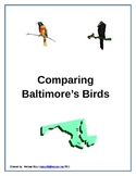 Comparing Baltimore's Birds-The Oriole and the Raven