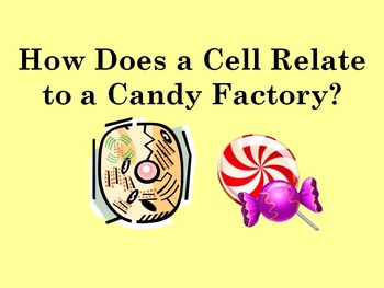 Preview of Comparing Cell Organelles to Candy Factory Analogy Hands-on Activity PowerPoint