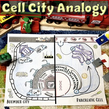 Preview of Comparing Cell Organelles to Parts of a City Analogy Activity Worksheet