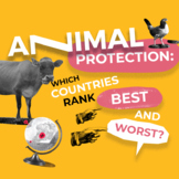 Comparing Cruelty | Animal Protection Around the World | V