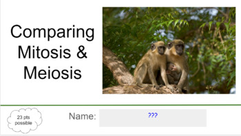 Preview of Comparing Mitosis & Meiosis Slides